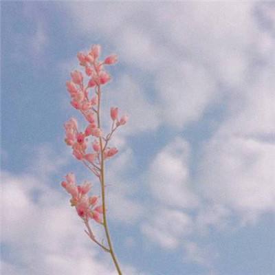 best365体育版官网下载